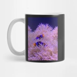 Two Clown Fish Mug